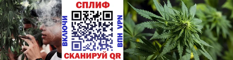 Где продают наркотики Пенза Бошки Шишки  Cocaine  ГАШ  СК  Меф 