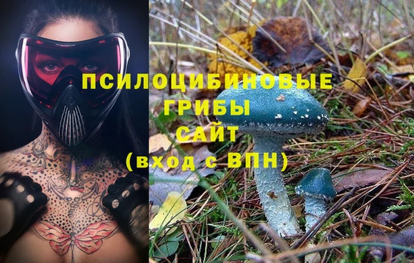 спиды Аркадак