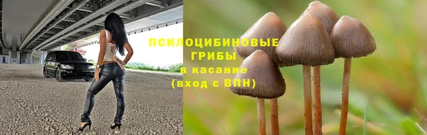 спиды Аркадак