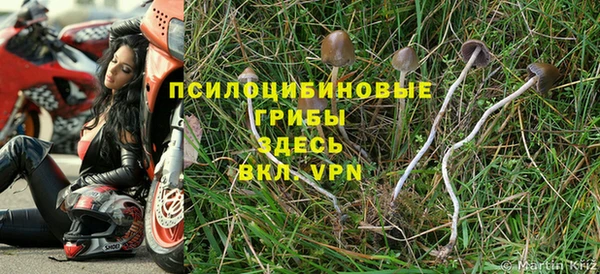 спиды Армянск