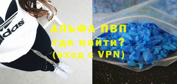 спиды Аркадак