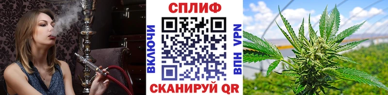 Конопля Amnesia  Пенза 